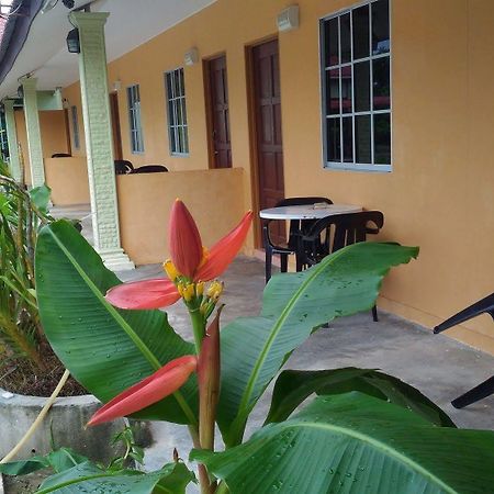 Tok Man Inn Langkawi Exteriör bild